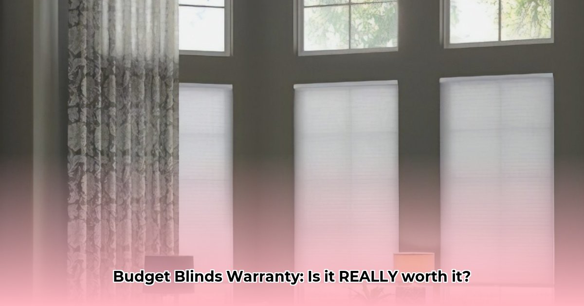 budget-blinds-of-greater-colorado-springs
